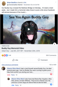 Brian reflects on the death of a pet, his dog, Buddy Guy.
